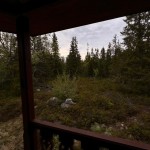 Вид (фото 4)